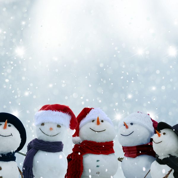 Christmas Holiday Hours